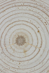 Wooden oak tree cut surface. Detailed warm dark brown and orange tones of a felled tree trunk or stump. Rough organic texture of tree rings with close up of end grain