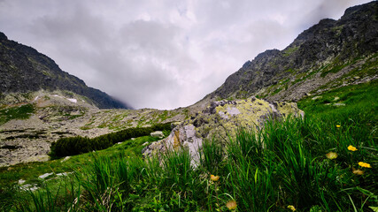 mountain landscape with grass