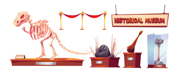 Historical museum with dinosaur skeleton and archeological exhibits. Vector cartoon set of finds of paleontology and archeology, prehistoric animals and primitive tools of caveman © klyaksun
