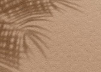 Fototapeta na wymiar Brown clay mud grunge cement texture wall leaf plant shadow background.Summer tropical travel beach with minimal concept. Flat lay palm nature.