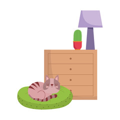 cat sleeping on cushion drawers with cactus and lamp isolated design