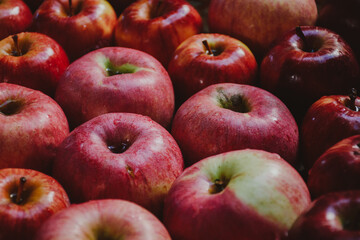 Pile of colorful organic apples during harvest time. Ripe apples on wooden basket. Shallow depth of field.
