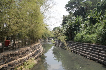bridge over the river