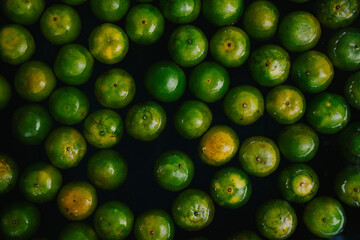 Top view of green oranges on the water. Close up of freshly harvested oranges background.
