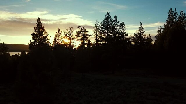 Panning and Zoom shot of Silhouette Tree Line in Big Bear, California at Sunset