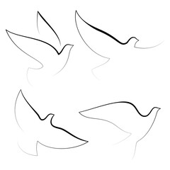 Bird silhouette of line; peace  concept; doves vector set; pigeons illustration; decorations for wedding design