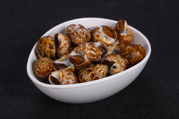 Tasty mollusk - spotted Babylon in the bowl