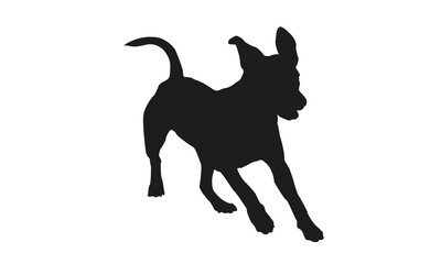Black silhouette of running american staffordshire terrier puppy. Isolated on a white background.