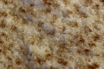 Milk rice puding with cinnamon 01