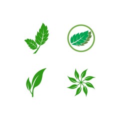 Green leaf logo