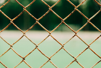 link fence with green grass