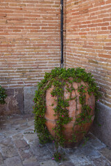 old brick wall with flowers