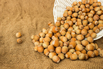 ripe hazelnuts in a peel on a white background