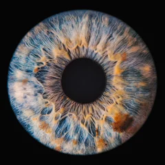 Stoff pro Meter blaue Augeniris © Lorant