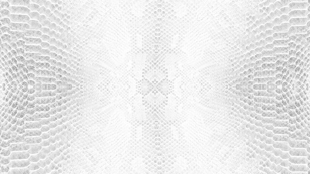 abstract parallax background texture of white snake skin python pattern stylish fashion animation
