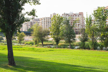 Park in summer with the city in the background.