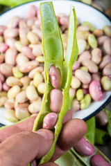 Preparando alubias tiernas y judías verdes en la mesa de la cocina para una comida sana