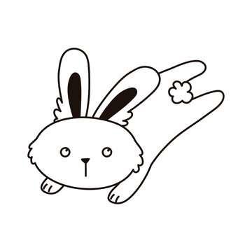 recommend clip art: jumping rabbit animal cartoon isolated icon line style
