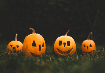 Halloween Pumpkins in dark grass. Celebration halloween day party.