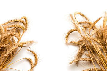 Barley macro. Whole, barley, harvest wheat sprouts. Wheat grain ear or rye spike plant isolated on white background, for cereal bread flour. Element of design. © Maksym