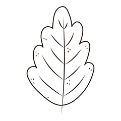 autumn leaf foliage nature isolated icon line style