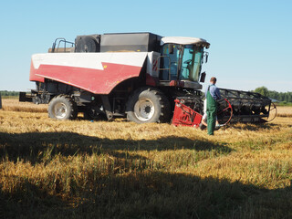 Fototapeta premium the combine-harvester for harvesting grain crops. harvesting barley. farm. large agricultural machinery.