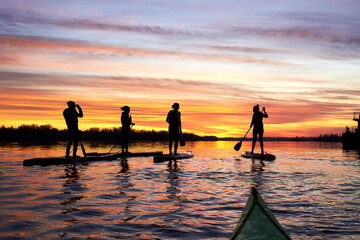 SUP silhouettes of people standing with a paddle on paddle on stand up paddle boarding (sup) at sunset on the river