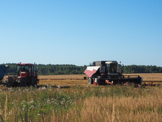 the combine-harvester for harvesting grain crops. harvesting barley. farm. large agricultural machinery.