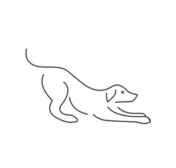 dog