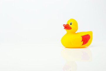 Yellow rubber duck with brown wings