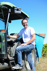 senior man farmer driving tractor trailer in his vineyard during wine harvest