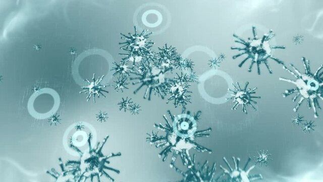Healthcare protection shield. Medical immune system concept. Bacteria and virus defense. Protect. Antibacterial. Resistance antimicrobial. Loop animation.