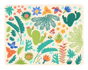 plants of South America