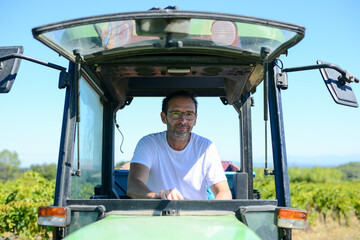 senior man farmer driving tractor trailer in his vineyard during wine harvest