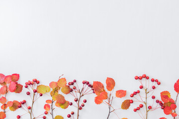 Flat lay composition with colorful autumn leaves and small red apples on a white background