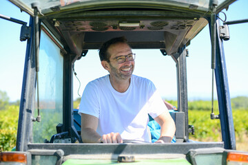 senior man farmer driving tractor trailer in his vineyard during wine harvest