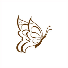 vector illustration of a butterfly