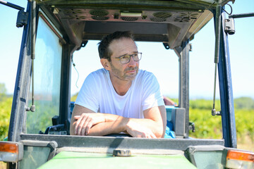 senior man farmer driving tractor trailer in his vineyard during wine harvest