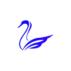 swan on white background