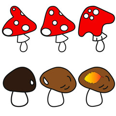 Set of mushrooms on a white background