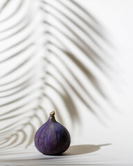 Purple figs with shadows from palm leaves on light background