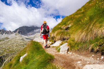 Fototapeta premium sentiero segantini