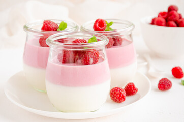 Raspberry yogurt panna cotta or mousse with fresh raspberries on top in jars on a light background. Copy space.