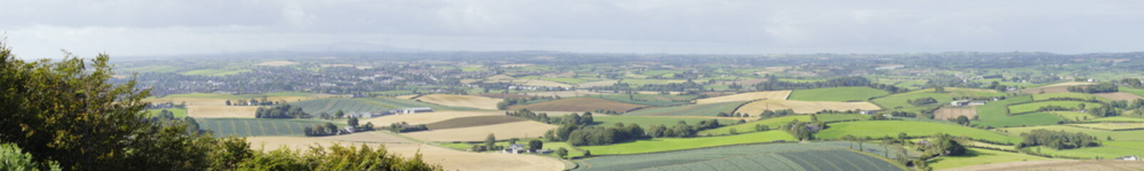 Killynether Forest Walk & Views - Northern Ireland