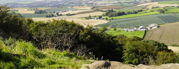 Killynether Forest Walk & Views - Northern Ireland