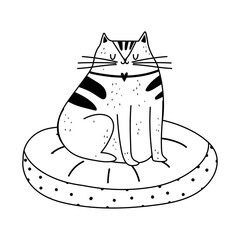 cat sitting on cushion isolated icon line style