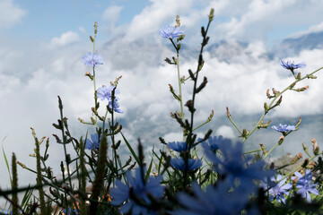 Ciel bleu sur montagne en suisse