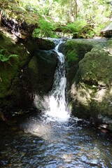 small waterfall in the forest