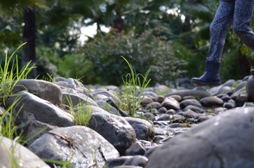 Wide shot of a dry stream