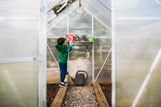 Young boy reaching for watering can in backyard greenhouse in spring